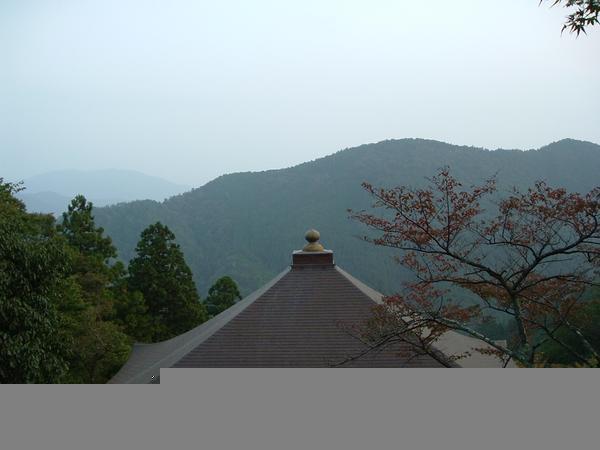 View From Temple