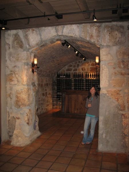 amy in the cellar