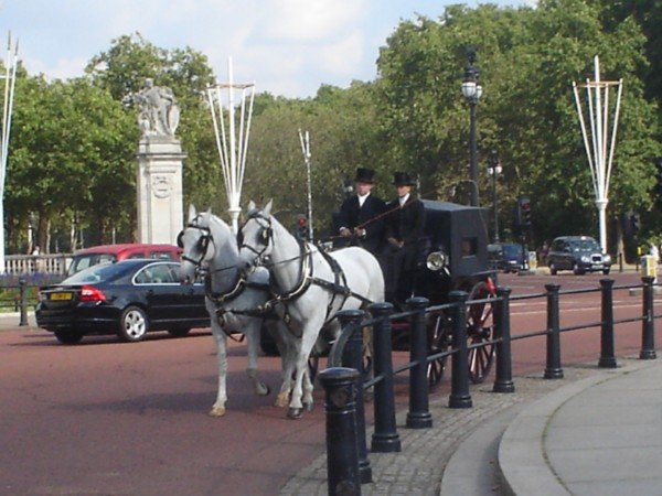 A Horse-drawn Carriage at Buckingham