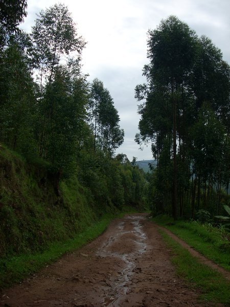 Road to the first village