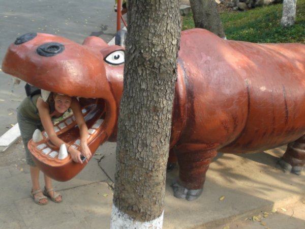 Being Eaten by a Hippo at Dam Sen Park