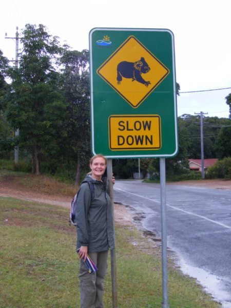 We got very excited at seeing a koala crossing sign