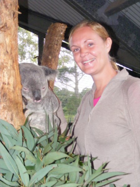 Catherine really pleased to be able to pet a koala