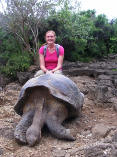 Catherine isn´t sitting on the tortoise I promise. The wardens freak out if you even breath near them!