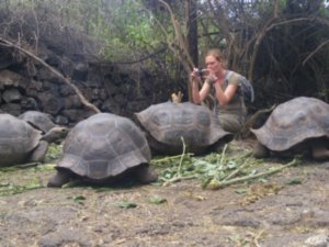 Female Slightly Less Giant Tortoises