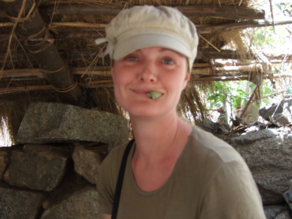 Catherine trying to chew coca leaves reminded me of a tortoise!