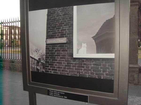 Foto expositie op straat
