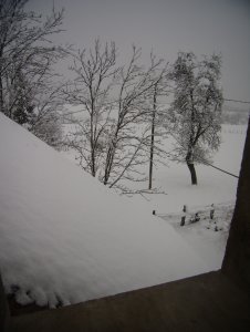 My Snowy View