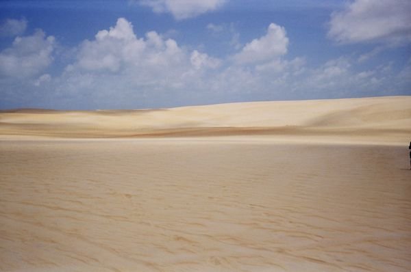 Sand Dunes of Natal