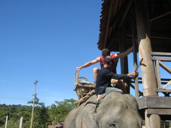Getting on the elephant