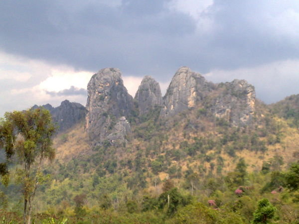 Phu Kra-Dung National Park