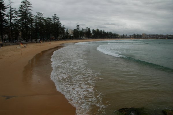 More Manly beach
