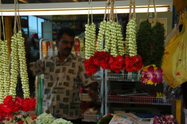 More Little India Flowers