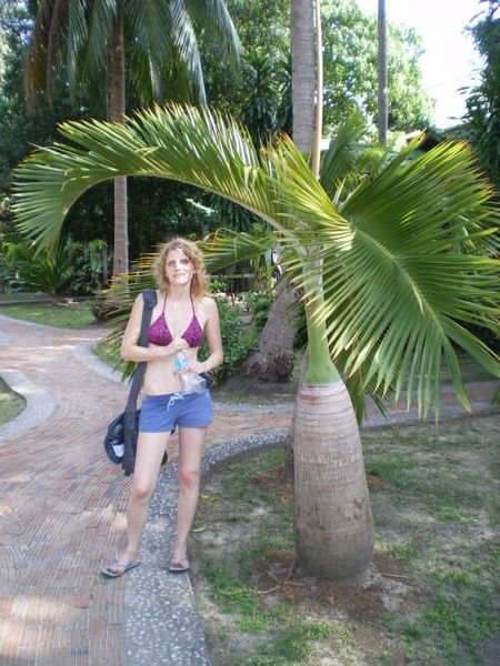 Vic & Baby Palm Tree!