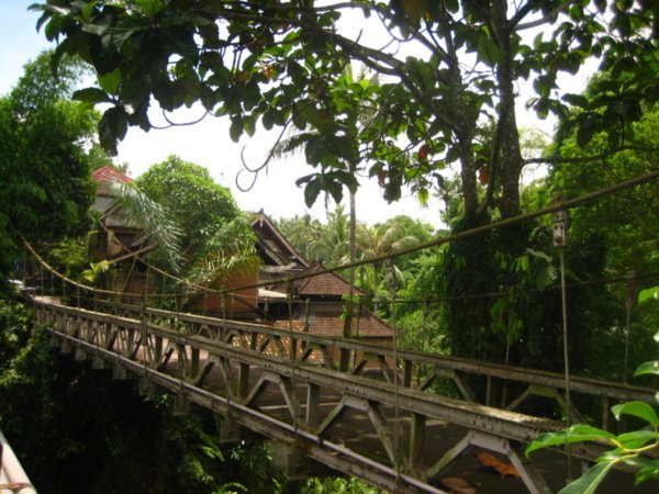 Bridge in Ubud