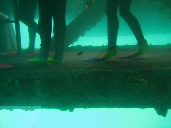 Divers on underwater platform