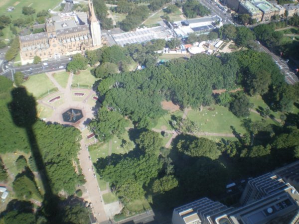 Hyde Park with Sydney Tower Shadow