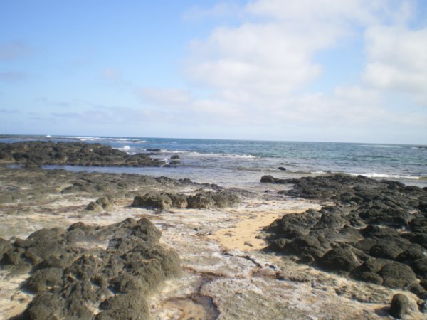 black rock pools on smith's beach