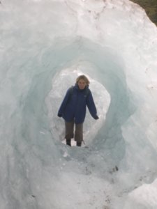 Sel in the ice arch