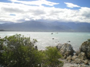mountains across the bay at kaikoura