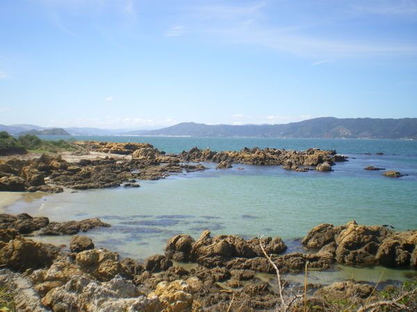 coast near Wellington