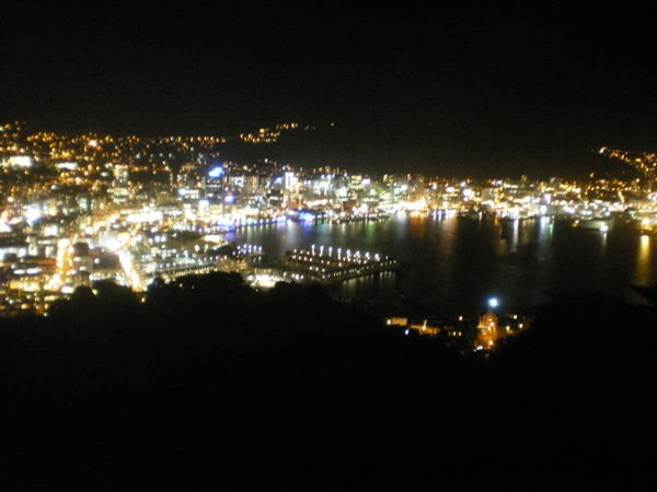 Wellington at night, from the lookout