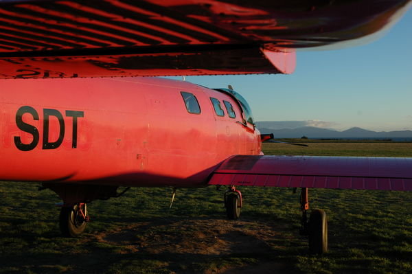 Our little pink plane...