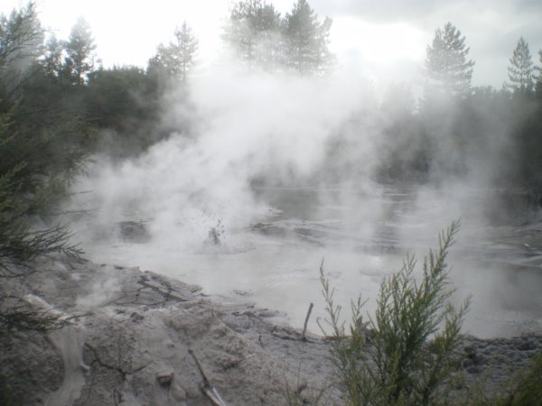 steamy mud pool