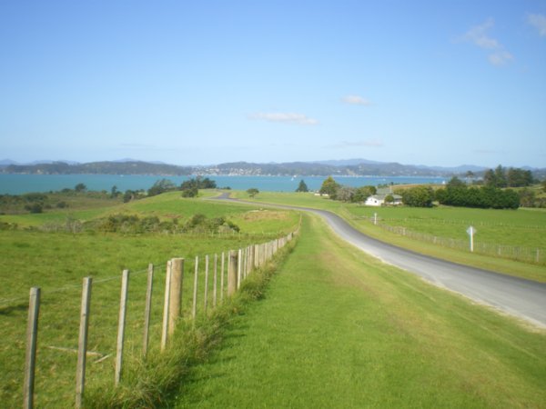 a quiet NZ road - bay of islands