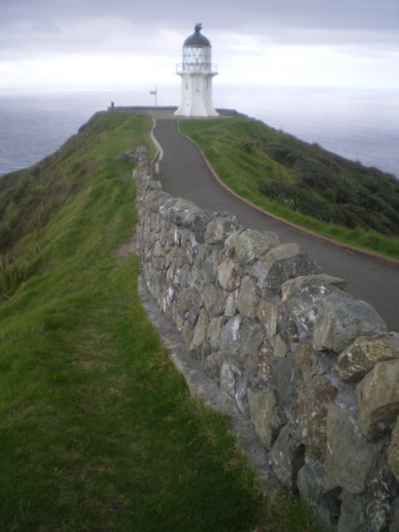 Cape Reinga - the very top of NZ