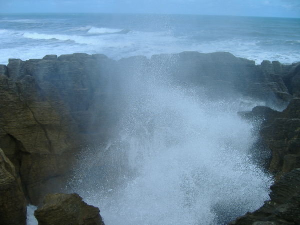 The blow hole!
