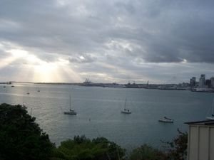 Morning in Auckland
