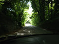 Typical Irish Country Road