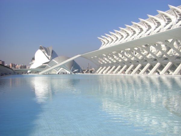 reflecting pool by the valencia museums