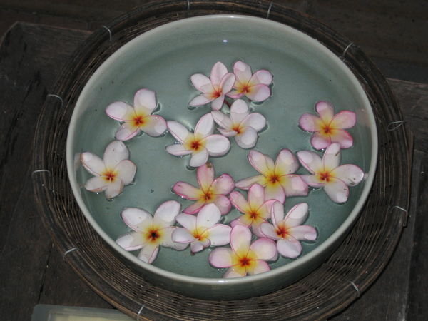 Flowers of Thailand