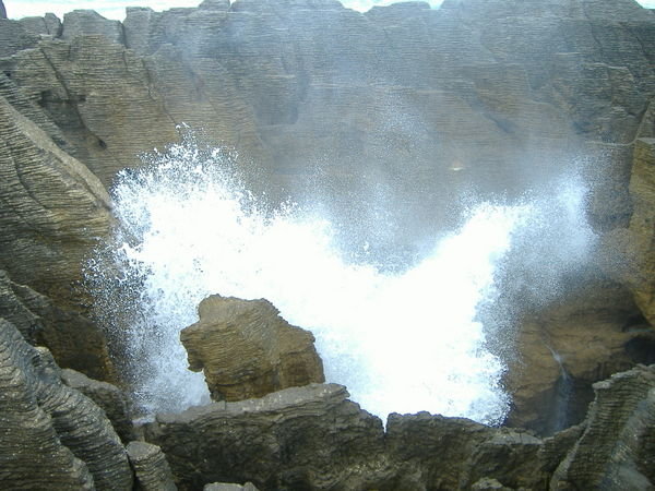 The Blowholes