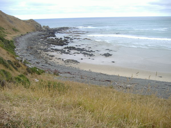 View from Roaring Bay
