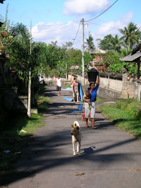 typical village road outside Ubud