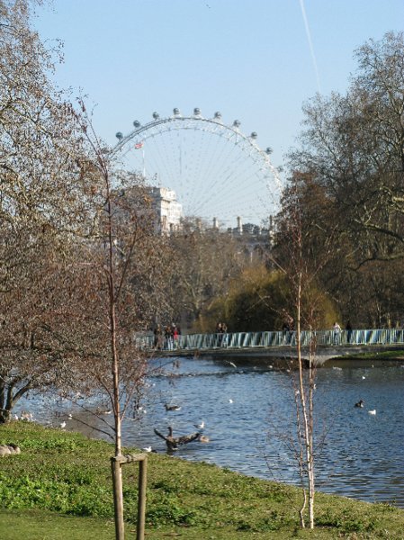 St James Park and the London Eye