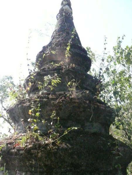 jungle stupa