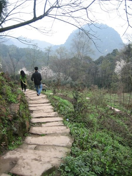 Qing Cheng Mountain