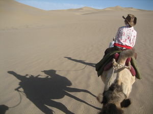 Camel Train View