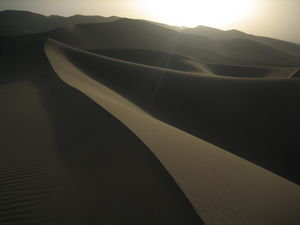 Rolling Dune-scape