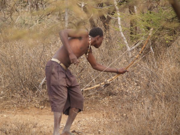 Bushmen Hunting