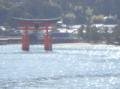Floating Tori (gate) on Miajima Island 