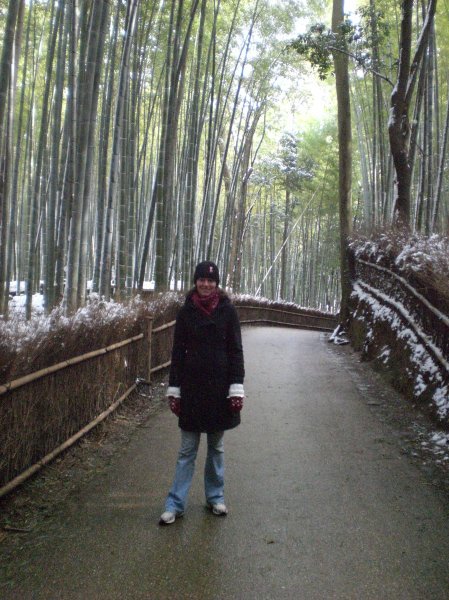 Ash at a bamboo grove