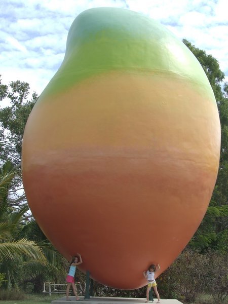 The Big Mango!
