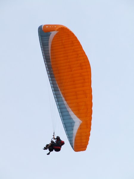Clancy paragliding off Mt Tamborine