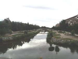 Río Bernesga