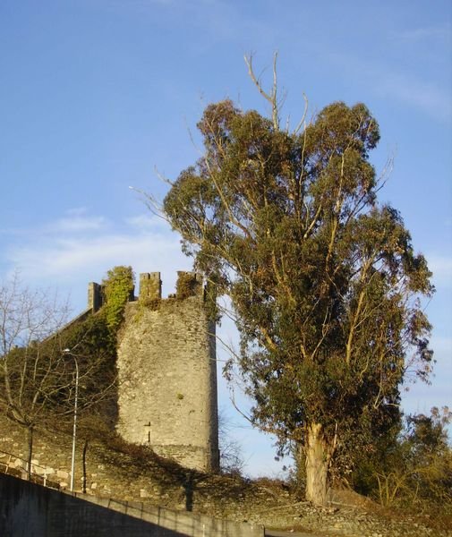Castillo de Sarria